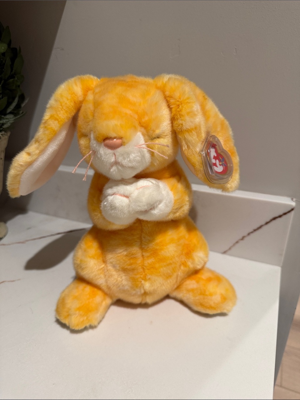 Ty “Grace” the Praying Bunny